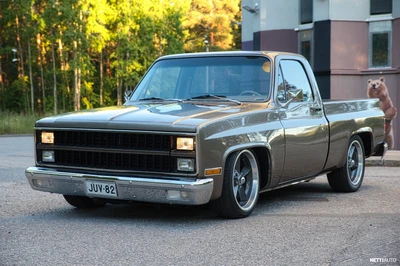 Chevrolet C10 Pickup Silverado 1982, photo 2/10