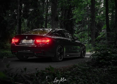 BMW 435 M Performance RWD 2015, kuva 7/24