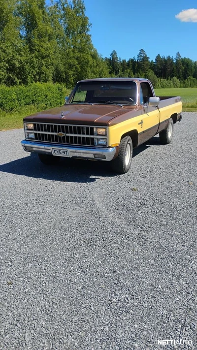 Chevrolet Fleetside C10 1981, kuva 6/7